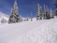 Revelstoke snowmobiling