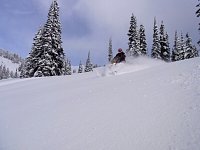 Revelstoke snowmobiling