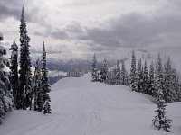 Revelstoke snowmobiling