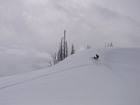 Revelstoke snowmobiling