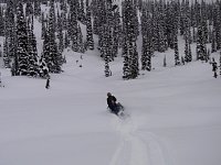 Revelstoke snowmobiling