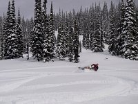 Revelstoke snowmobiling