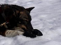 Lady taking booties off