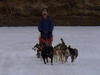 Bo mushing