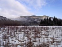 Yukon River scenery