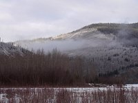 Yukon River scenery