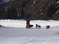 Kris mushing over jumbled ice