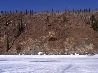 Yukon river bank