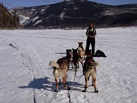 Yukon River, Colleen, dogs and Dawson City