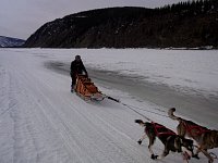 Me mushing