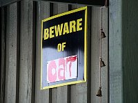 Beware of cat