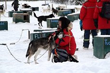 Dog being hugged