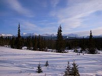 Campsite view