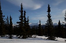 Campsite view