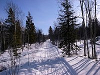 Sledding trail