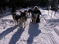 Chuck and his dog team