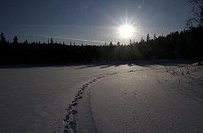 Trail on lake