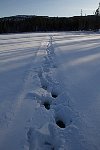 Trail on lake