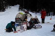 Dog's lunch being prepared