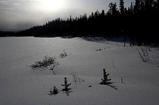 Early morning, Yukon