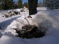 Sausages in the Yukon