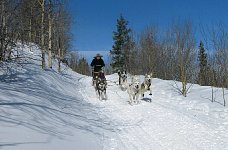 Me mushing (detail)