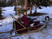 Elsa on the sled