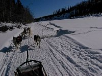 On the Takhini river