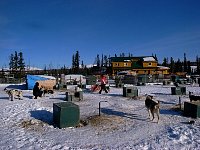 Dog yard