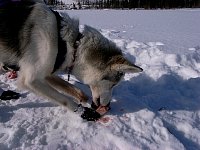 Elsa eating a snack