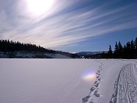 Sled trail Takhini River