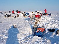 Snow shovelling time