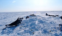 Digging out the sled