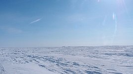 Dog sledding on Beaufort Sea