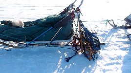 Sled with harnesses