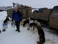 Chuck feeding the dogs