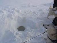 Gimli and the snow hole he emerged from