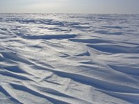 Snow drifts on the Mackenzie River