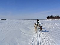 Dogsledding on the Mackenzie River