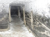 Freezer shaft