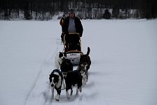 Dogsled, dogs and me