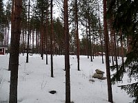 Holiday camp from lake