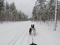 First day of dogsledding