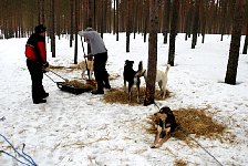 Collecting the straw