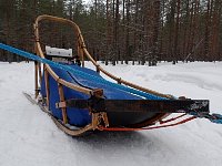 Sled needing repair