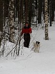 Walking a dog to the field