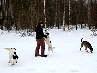 Petting a dog