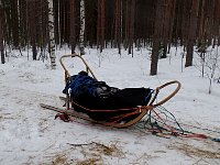 Crashed sled