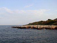 Tour du Cap d'Antibes