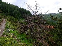 Valberg mountain panorama